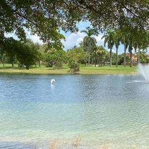 Meet your Posher, Luisa